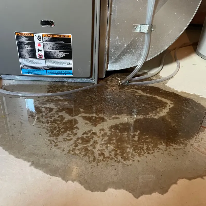 Appliance Leak Cleanup in Deaf Smith County, TX